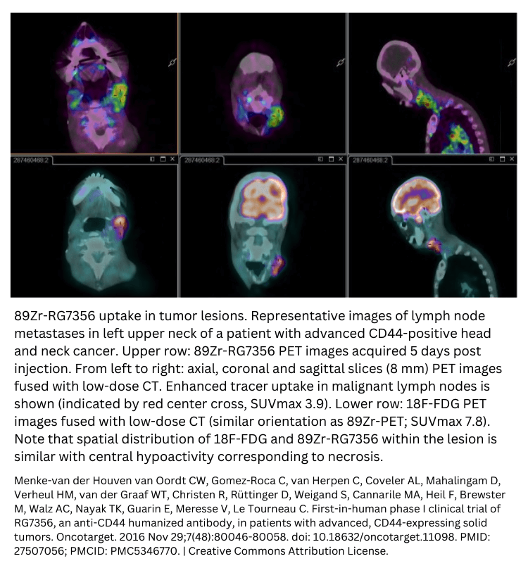 First in human phase I clinical trial cancer