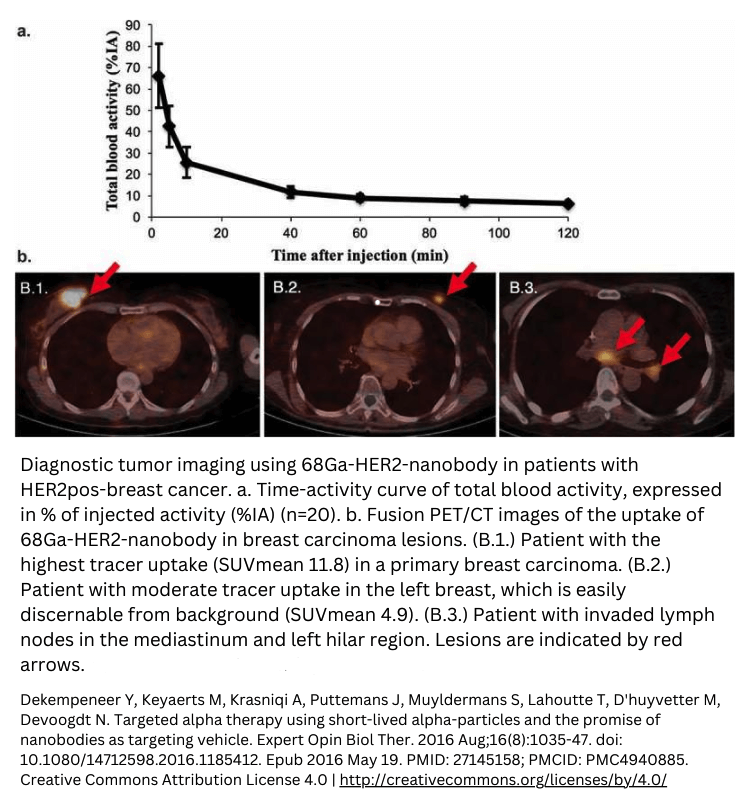 Example of first-in-human oncology trials