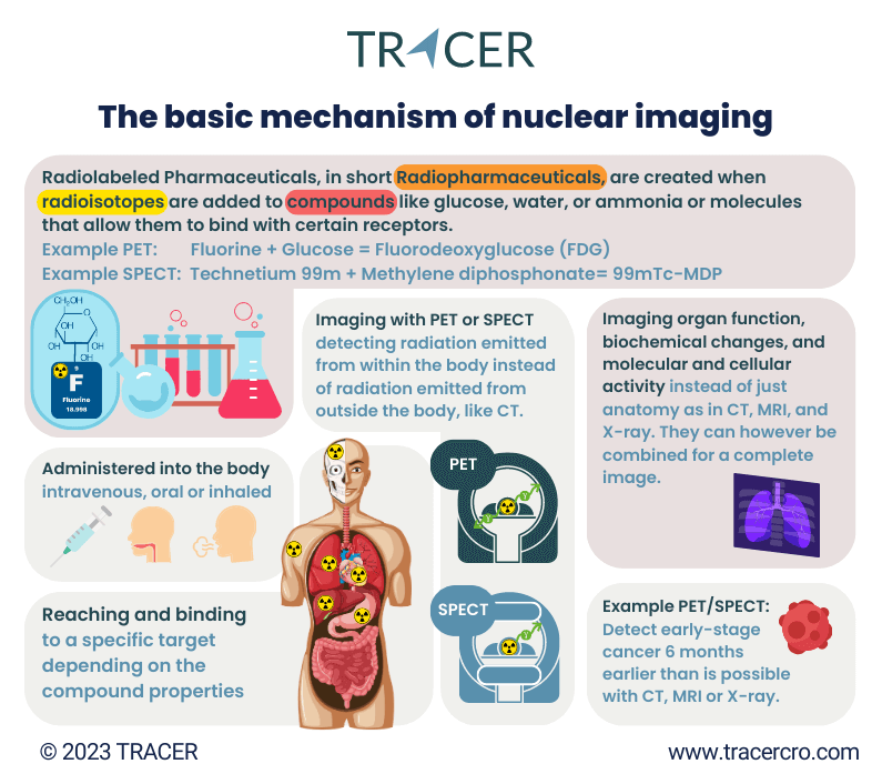 nuclear-imaging-explained-infographic