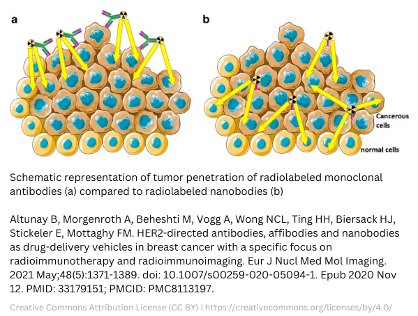 antibody vs nanobody® radiolabeled tumor
