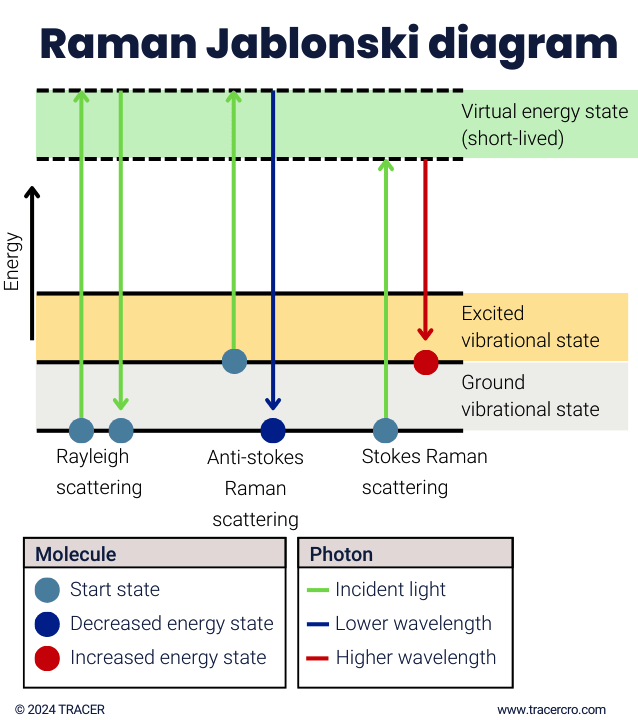 raman jablonski diagram