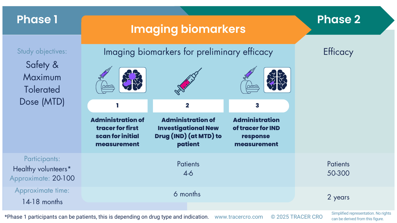 Drug development phase Imaging biomarkers preliminary efficacy