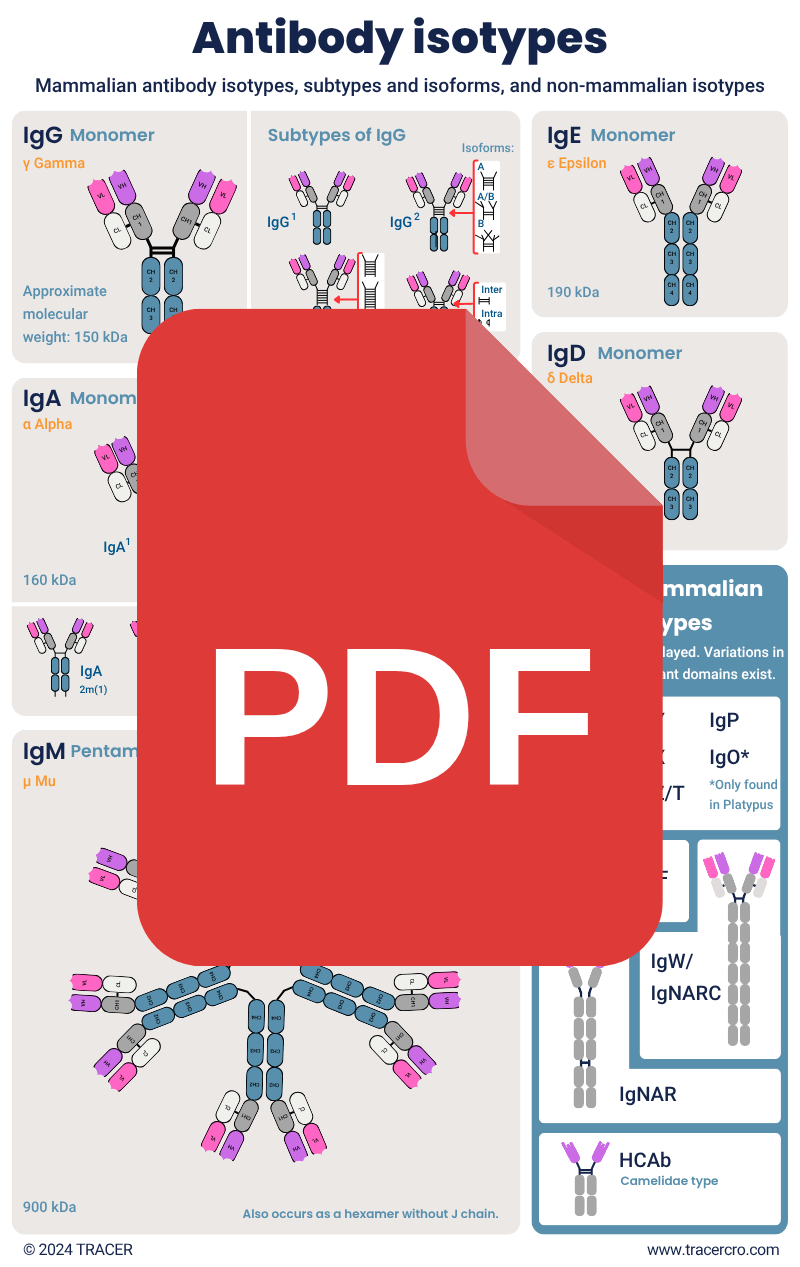 antibody types pdf download