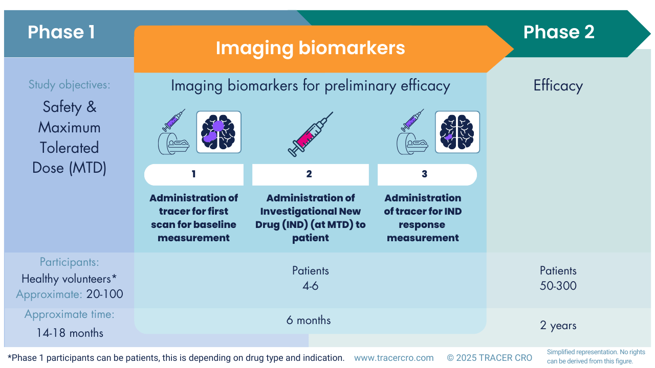 Drug development phase Imaging biomarkers for preliminary efficacy v2